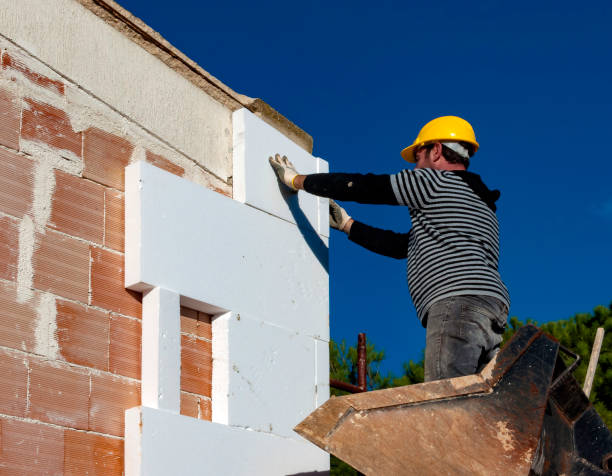 Best Insulation Inspection Services  in Avalon, CA