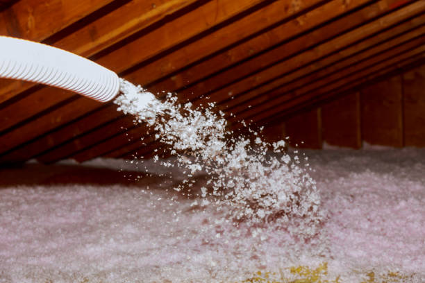 Best Energy-efficient Insulation  in Avalon, CA
