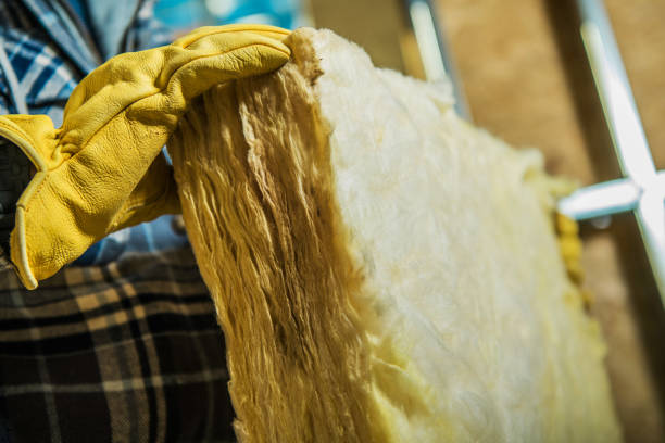 Best Spray Foam Insulation  in Avalon, CA