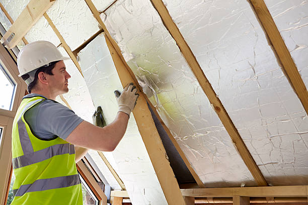 Best Home Insulation Services  in Avalon, CA