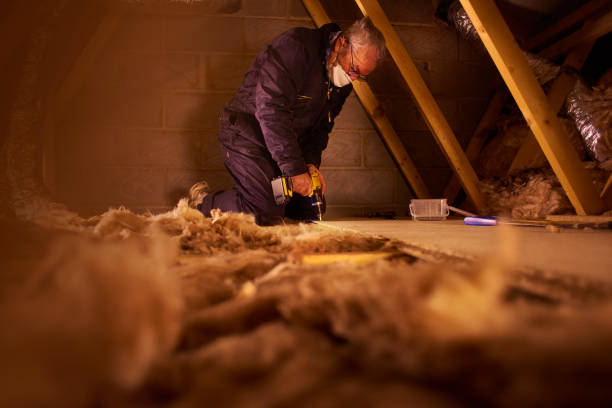 Best Insulation Replacement Services  in Avalon, CA