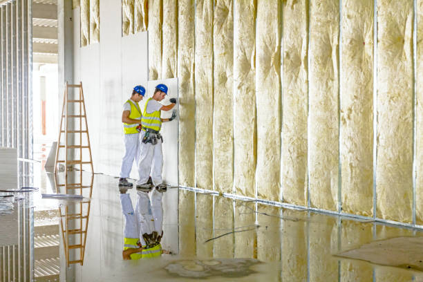 Insulation Repair Services in Avalon, CA